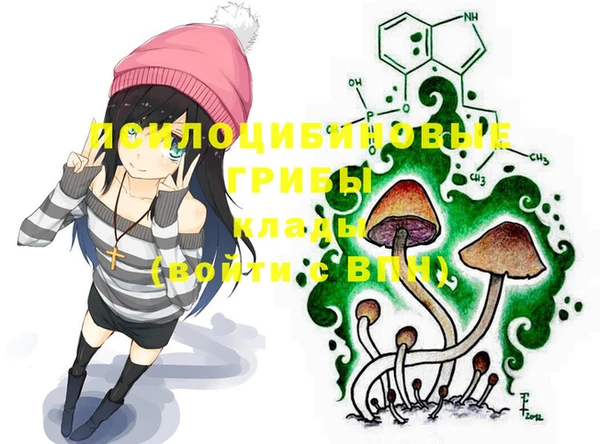 2c-b Белоозёрский
