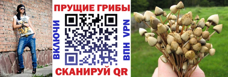 Галлюциногенные грибы ЛСД купить наркотики сайты Невельск